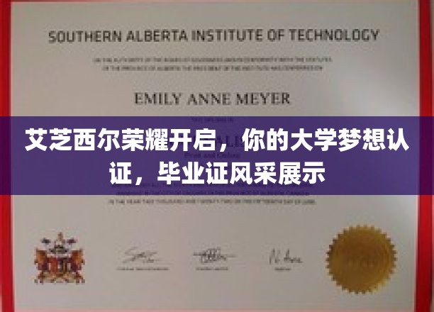 艾芝西尔荣耀盛典，毕业证上的青春印记，见证你的大学梦之旅