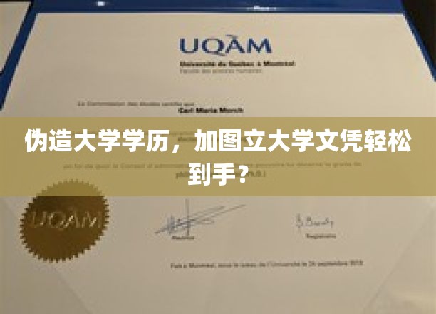 伪造学历陷阱，轻松获取加图立大学文凭的背后真相