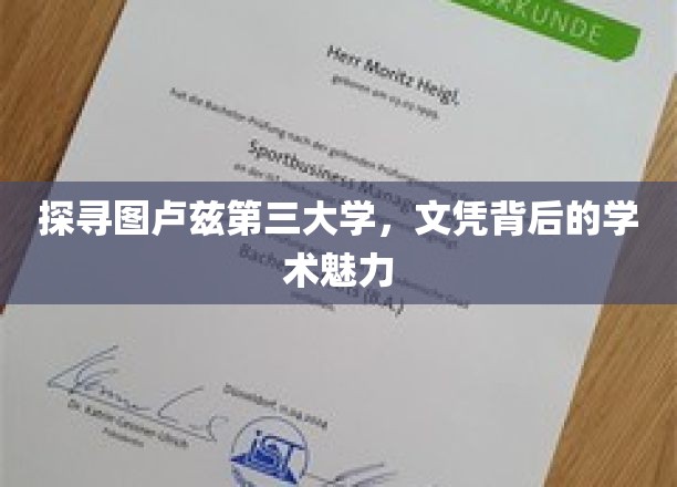 探寻图卢兹第三大学，文凭背后的学术魅力