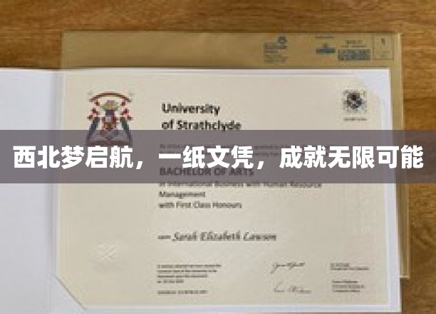西北启航梦，文凭铺就非凡人生路