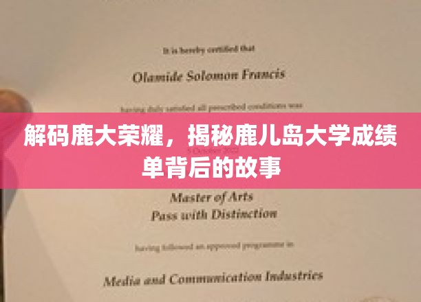 解码鹿大荣耀，揭秘鹿儿岛大学成绩单背后的故事
