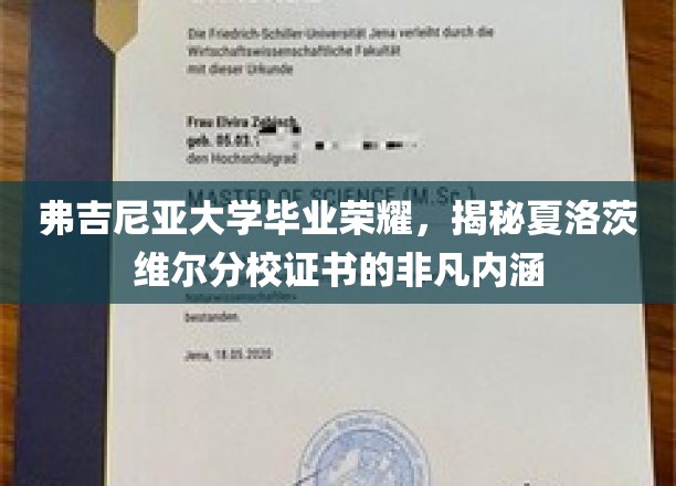 弗吉尼亚大学毕业荣耀，揭秘夏洛茨维尔分校证书的非凡内涵