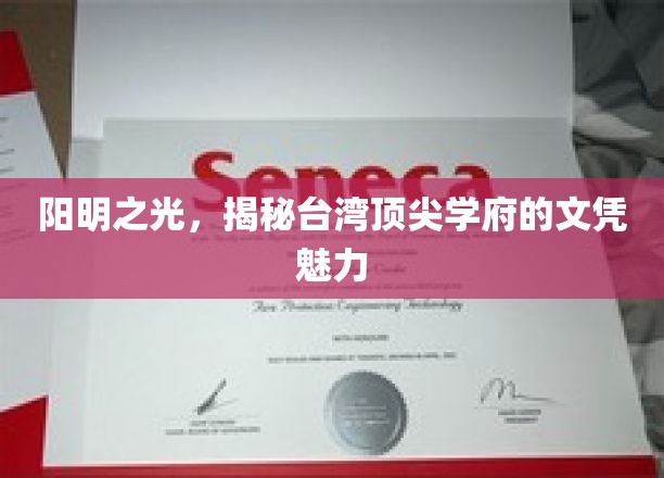 台湾精英摇篮，揭秘顶尖学府文凭背后的光芒