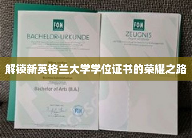 踏上新英格兰大学学位荣耀巅峰之旅