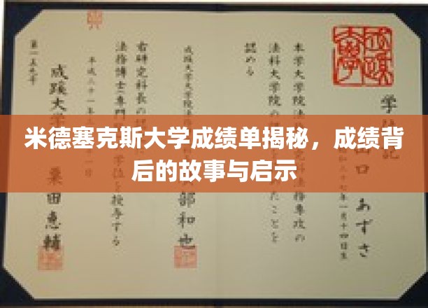 米德塞克斯大学成绩背后，揭秘学术旅程的启示与感悟
