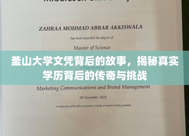 釜山大学文凭背后的故事，揭秘真实学历背后的传奇与挑战