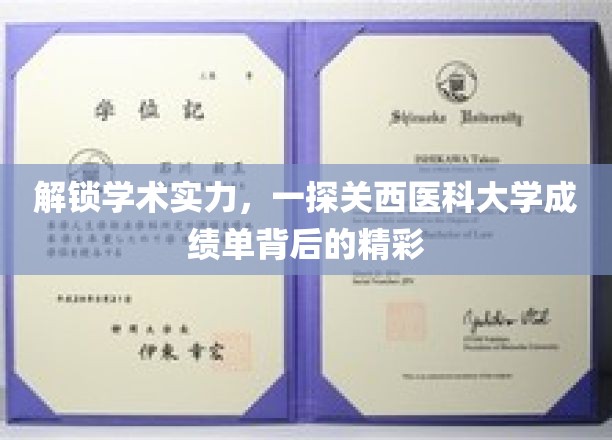 解锁学术实力，一探关西医科大学成绩单背后的精彩
