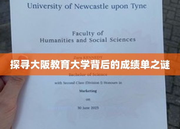 揭秘大阪教育大学背后的耀眼成绩单