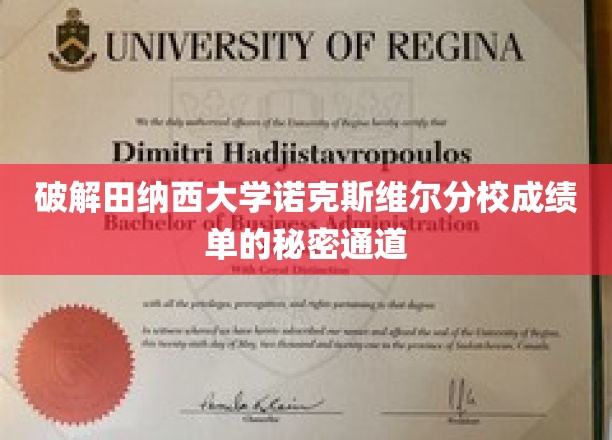 揭秘田纳西大学诺克斯维尔分校成绩单的秘密通道