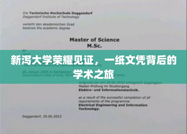 新泻大学荣耀见证，一纸文凭背后的学术之旅