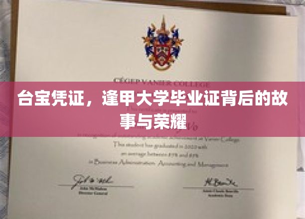 台宝凭证揭秘，逢甲大学文凭背后的传奇与辉煌