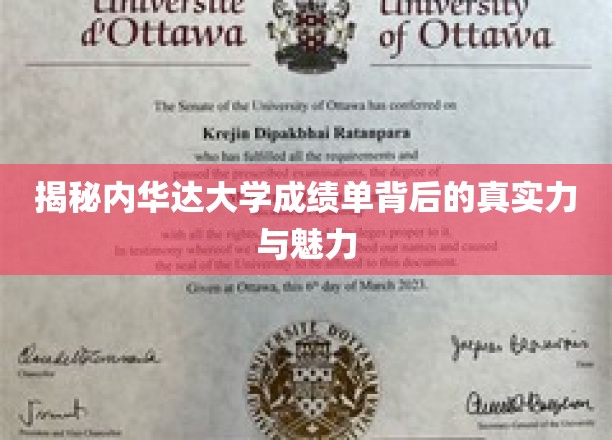 内华达大学成绩单揭示的学术实力与魅力