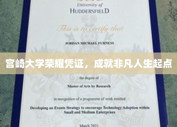 宫崎大学荣耀证书，开启非凡人生新篇章