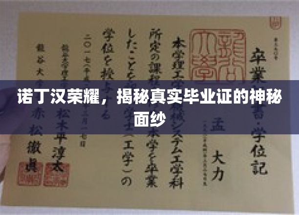 诺丁汉荣耀，揭秘真实毕业证的神秘面纱