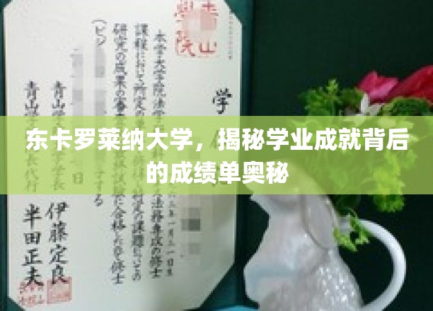 解码东卡罗莱纳大学，揭开学业成就的神秘成绩单面纱