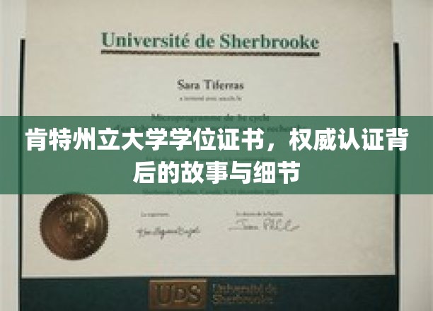 肯特州立大学学位证书，权威认证背后的故事与细节