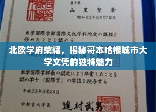 北欧学府荣耀，一窥哥本哈根城市大学文凭的独特魅力