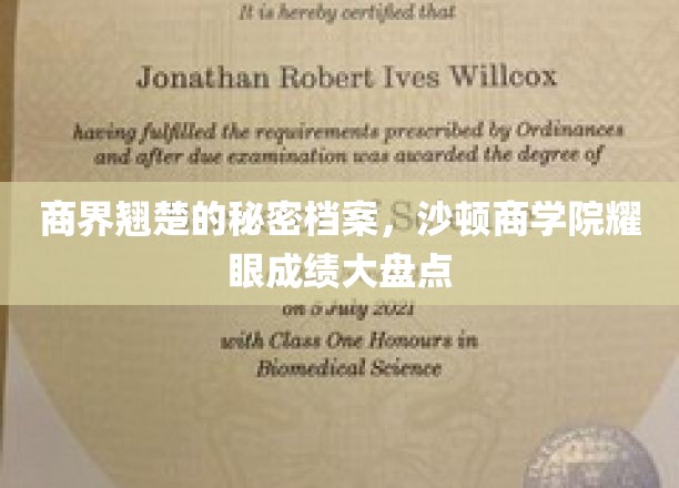 沙顿商学院精英档案，揭秘商界领袖背后的辉煌成就