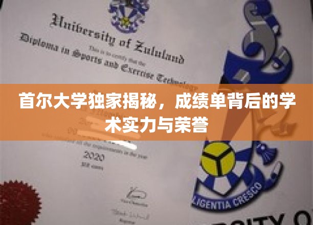 首尔大学独家揭秘，成绩单背后的学术实力与荣誉