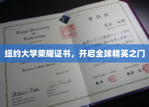 纽约大学荣耀凭证，引领世界精英踏足巅峰