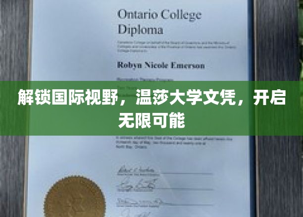跨国学历新篇章，温莎大学文凭，拓宽你的全球视野与未来机遇
