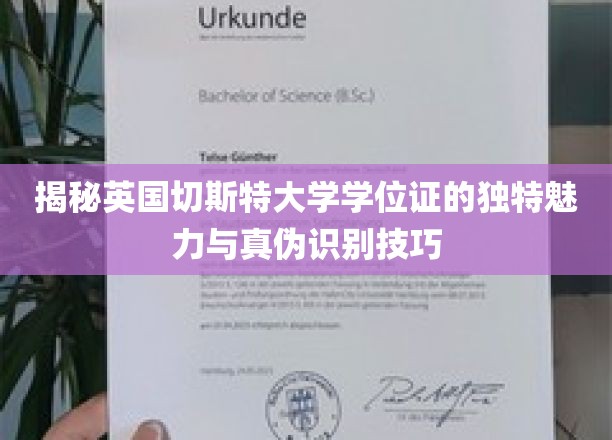 英国切斯特大学学位证揭秘，辨识真伪的独家指南