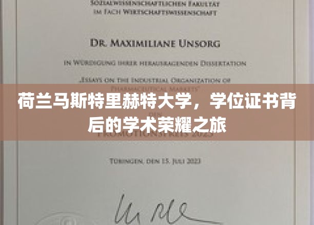 荷兰马斯特里赫特大学，学位证书背后的学术荣耀之旅