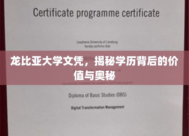 揭开龙比亚大学文凭的神秘面纱，学历价值与内涵深度解析