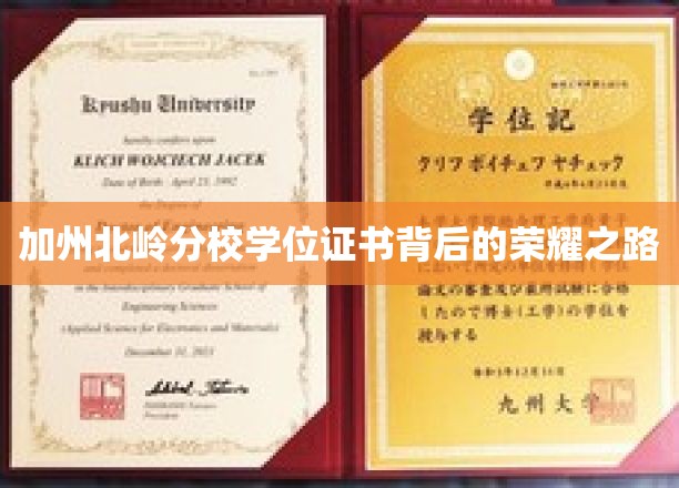 解锁北岭荣耀，加州分校学位证书的非凡旅程
