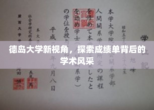 德岛大学新视角，探索成绩单背后的学术风采