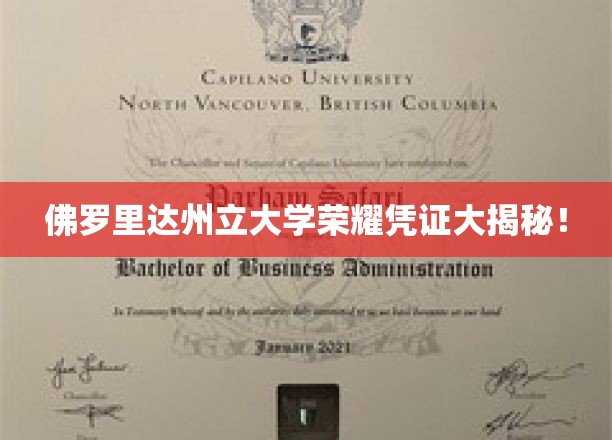 揭开佛罗里达州立大学荣耀证书背后的神秘面纱