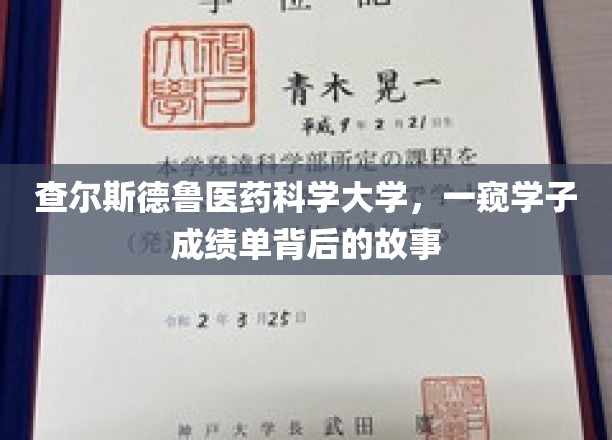 查尔斯德鲁医药科学大学：揭开学子成绩单背后的辉煌篇章