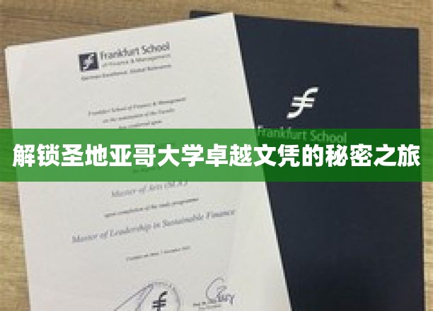 探索圣地亚哥大学卓越文凭的神秘之旅