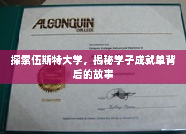揭开伍斯特大学学子卓越背后的精彩篇章