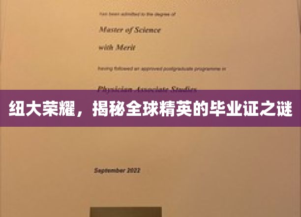 纽大光环，解码世界精英毕业证的神秘面纱