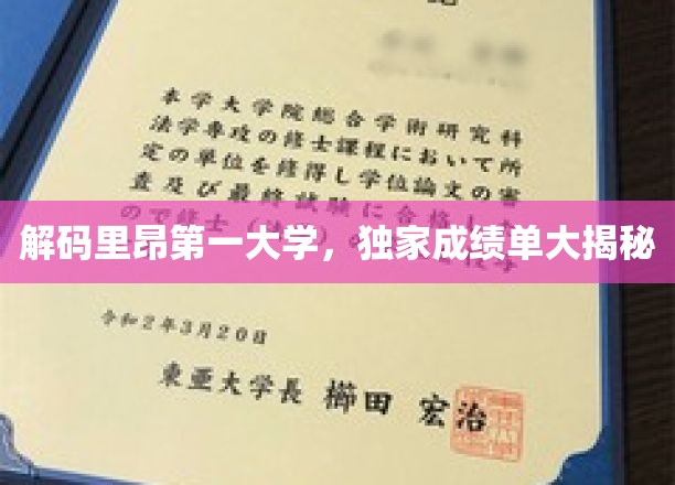 探寻里昂第一大学背后，深度揭秘独家成绩单背后的故事