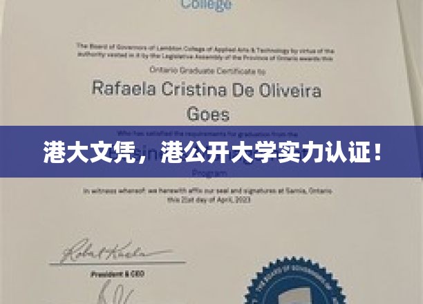 港大文凭，港公开大学实力认证！