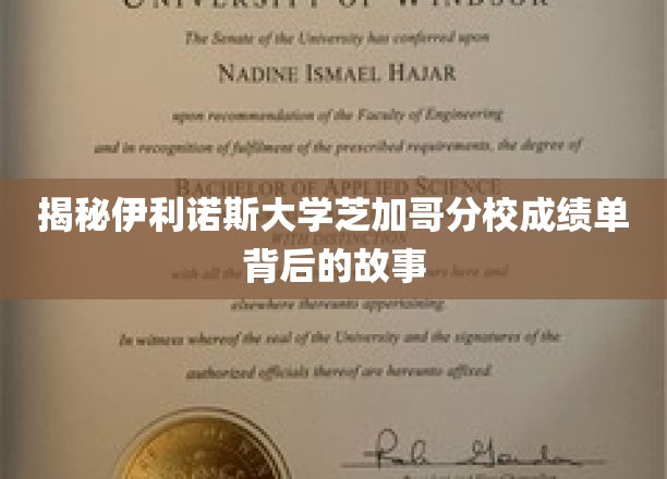 揭秘，伊利诺斯大学芝加哥分校成绩单背后的真实面貌