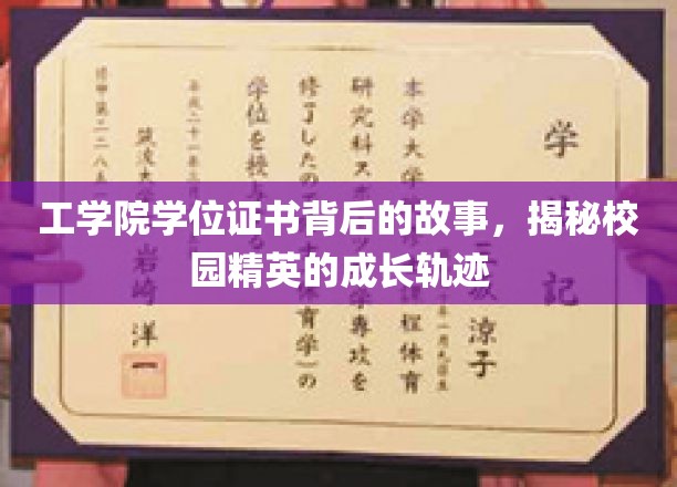 工学院学位证书背后的故事，揭秘校园精英的成长轨迹