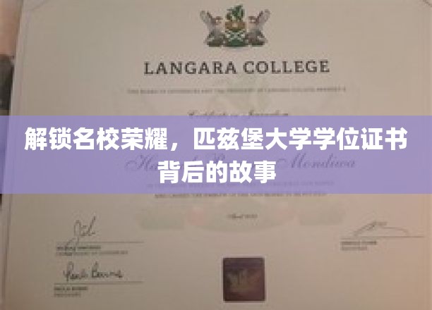 揭秘匹兹堡大学学位证书，名校背后的辉煌与挑战