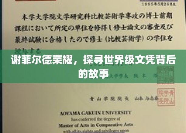 谢菲尔德荣耀，探寻世界级文凭背后的故事