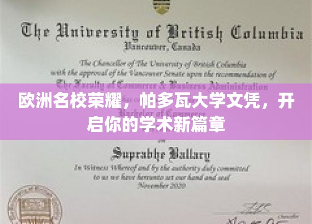 欧洲精英学府之选，帕多瓦大学文凭助你开启非凡学术之旅