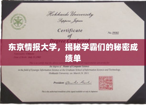 东京情报大学，揭秘学霸们的秘密成绩单