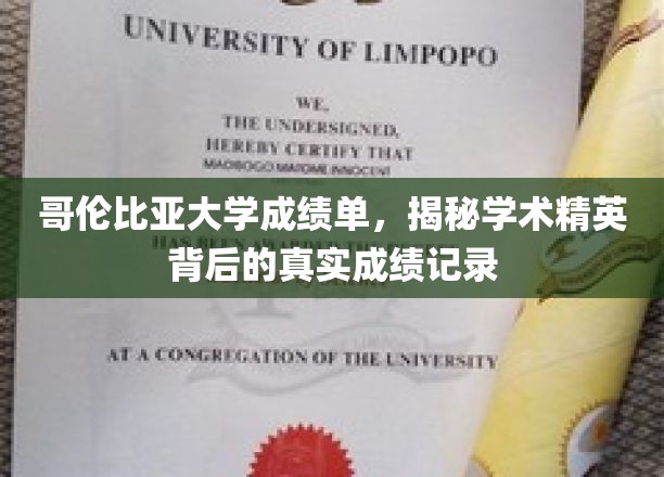 哥伦比亚精英学子成绩揭秘，揭秘真实学术实力与辉煌背后的数据故事