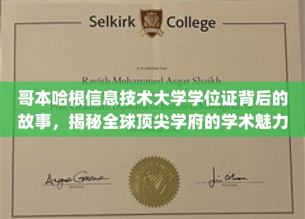 解码哥本哈根IT大学学位证，探寻国际精英学府的学术奥秘