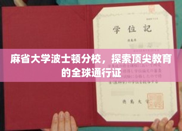 麻省大学波士顿分校，解码全球精英教育的国际通行证