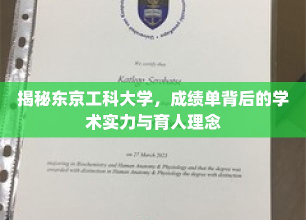 揭秘东京工科大学，探寻成绩单背后的学术实力与育人理念