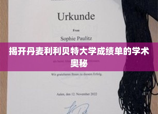 解码利利贝特大学成绩单背后的学术秘密