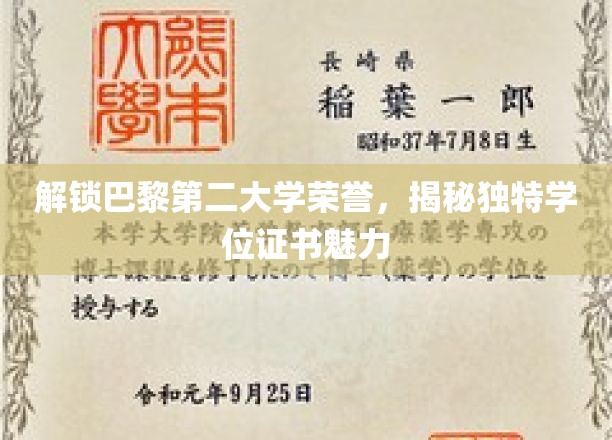 巴黎第二大学荣耀揭秘，独特学位证书背后的故事