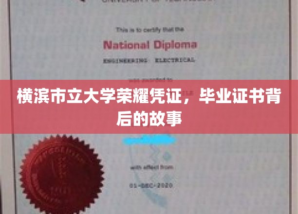 横滨市立大学荣耀凭证，毕业证书背后的故事